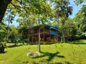 A house sitting on top of a lush green hillside.