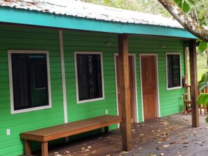 A green house with a bench outside of it