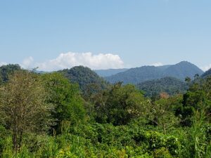 A view of the mountains from above.