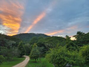 A view of the sunset from above a road.